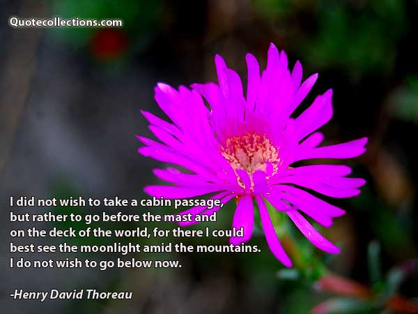 Henry David Thoreau Quotes2